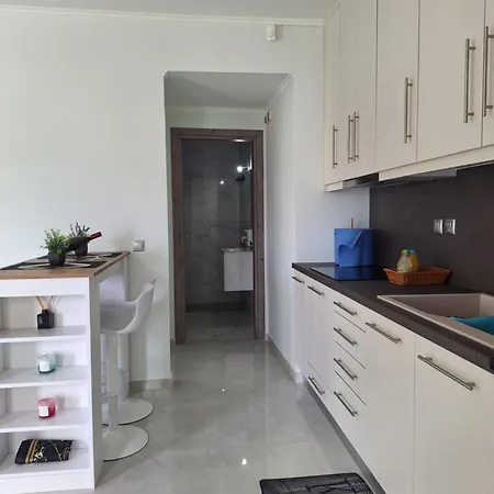 Zoi Elegant Apartments Filiatra